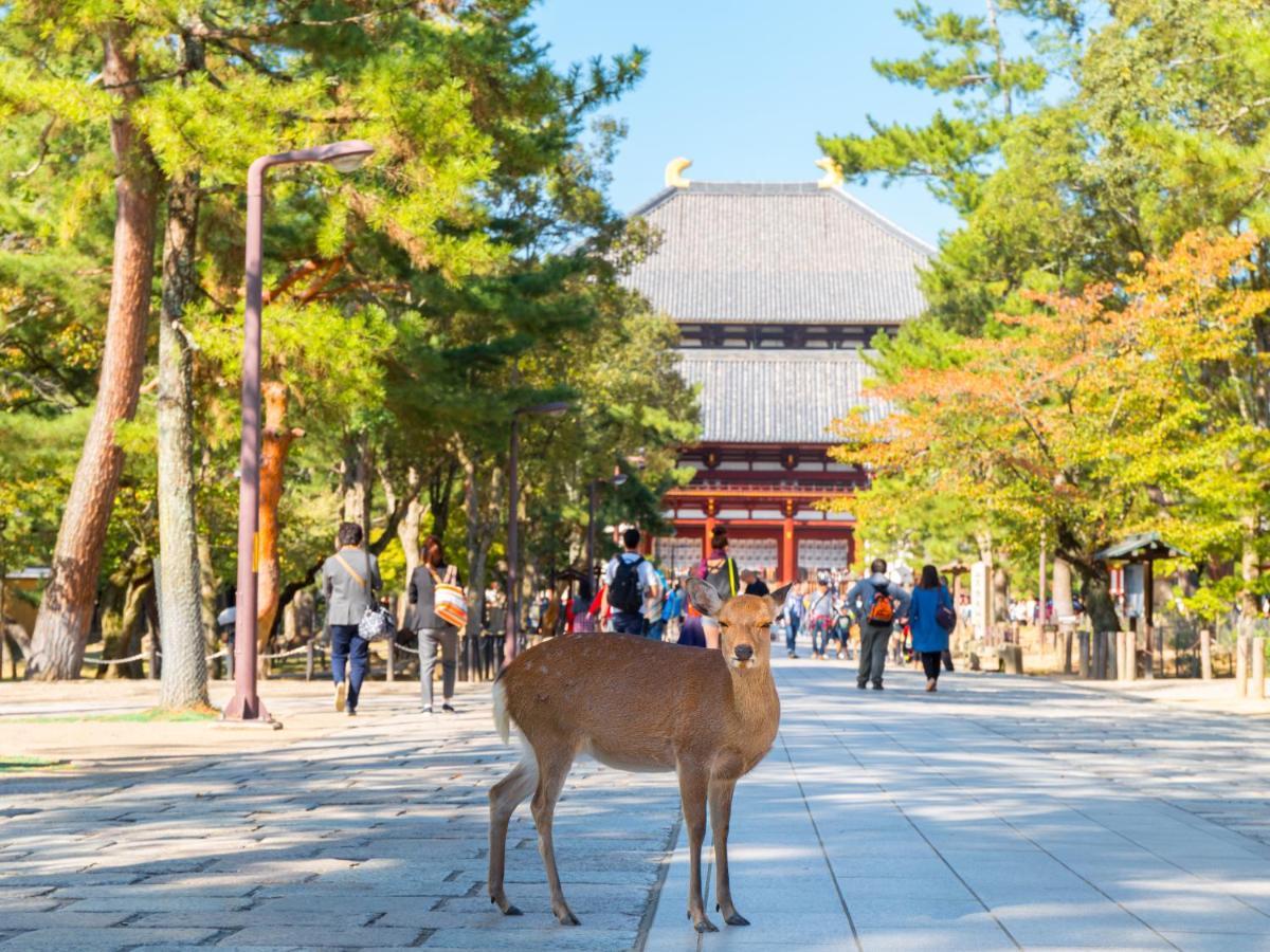 Nara Royal Hotel Exteriör bild